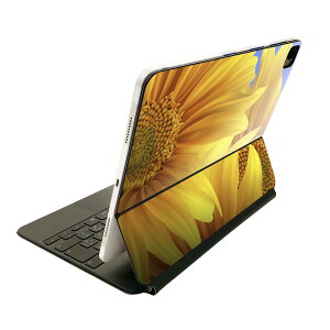 Magic Keyboard p XLV[ 11C` iPad Prop 1-4 iPad Air 4-5 Ή SʃXLV[ t O w یV[ lC 001397 Ђ܂