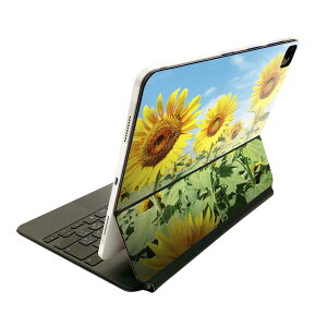 Magic Keyboard p XLV[ 11C` iPad Prop 1-4 iPad Air 4-5 Ή SʃXLV[ t O w یV[ lC 002501 ԁ@Ђ܂@ʐ^