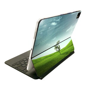 Magic Keyboard 12.9�C���` iPad Pro�i��4����A��5����A��6����j�Ή� apple �A�b�v�� �A�C�p�b�h �S�ʃX�L���V�[�� �t�� �O�� �w�� �ی�V�[�� �l�C �i�F�@���i�@�ʐ^ 002526