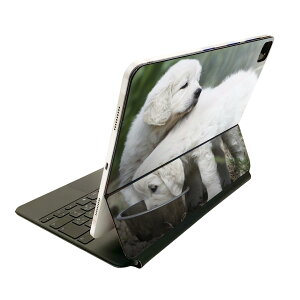 Magic Keyboard �p �X�L���V�[�� 11�C���` iPad Pro�p ��1-4���� iPad Air ��4-5���� �Ή� �S�ʃX�L���V�[�� �t�� �O�� �w�� �ی�V�[�� �l�C 002577