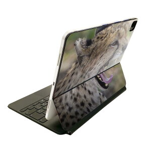 Magic Keyboard p XLV[ 11C` iPad Prop 1-4 iPad Air 4-5 Ή SʃXLV[ t O w یV[ lC 002582 @ʐ^@^