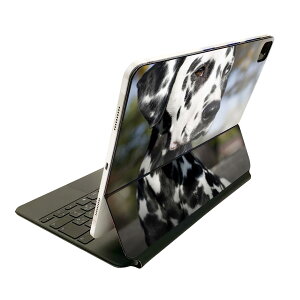 Magic Keyboard 12.9C` iPad Proi4A5A6jΉ apple Abv ACpbh@SʃXLV[ t Oʁ@w یV[ lC 002587 @@ʐ^