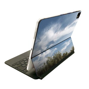 Magic Keyboard 12.9�C���` iPad Pro�i��4����A��5����A��6����j�Ή� apple �A�b�v�� �A�C�p�b�h�@�S�ʃX�L���V�[�� �t�� �O�ʁ@�w�� �ی�V�[�� �l�C 002623 ��@�i�F�@�ʐ^