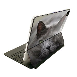 Magic Keyboard 12.9�C���` iPad Pro�i��4����A��5����A��6����j�Ή� apple �A�b�v�� �A�C�p�b�h �S�ʃX�L���V�[�� �t�� �O�� �w�� �ی�V�[�� �l�C �L�@�����@�ʐ^ 002650