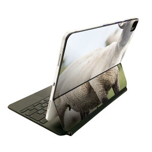 Magic Keyboard 12.9�C���` iPad Pro�i��4����A��5����A��6����j�Ή� apple �A�b�v�� �A�C�p�b�h�@�S�ʃX�L���V�[�� �t�� �O�ʁ@�w�� �ی�V�[�� �l�C 002653 �Ђ��@�����@�ʐ^