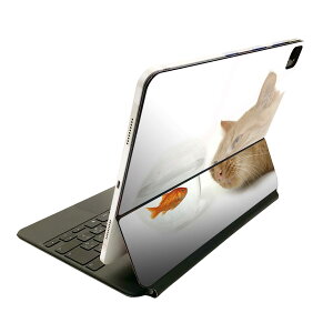 Magic Keyboard �p �X�L���V�[�� 11�C���` iPad Pro�p ��1-4���� iPad Air ��4-5���� �Ή� �S�ʃX�L���V�[�� �t�� �O�� �w�� �ی�V�[�� �l�C 002741 �L�@�����@�ʐ^