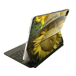 Magic Keyboard p XLV[ 11C` iPad Prop 1-4 iPad Air 4-5 Ή SʃXLV[ t O w یV[ lC 002800 Ђ܂@ԁ@ʐ^