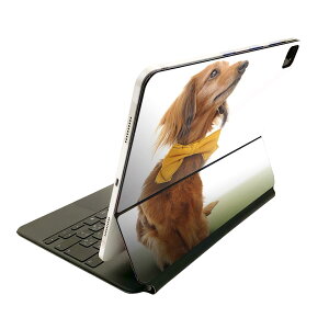 Magic Keyboard p XLV[ 11C` iPad Prop 1-4 iPad Air 4-5 Ή SʃXLV[ t O w یV[ lC 002852 @@ʐ^