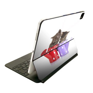 Magic Keyboard 12.9�C���` iPad Pro�i��4����A��5����A��6����j�Ή� apple �A�b�v�� �A�C�p�b�h�@�S�ʃX�L���V�[�� �t�� �O�ʁ@�w�� �ی�V�[�� �l�C 002882 �L�@�����@�ʐ^