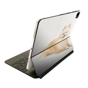 Magic Keyboard p XLV[ 11C` iPad Prop 1-4 iPad Air 4-5 Ή SʃXLV[ t O w یV[ lC 002911 @@ʐ^
