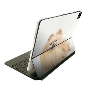 Magic Keyboard 12.9�C���` iPad Pro�i��4����A��5����A��6����j�Ή� apple �A�b�v�� �A�C�p�b�h �S�ʃX�L���V�[�� �t�� �O�� �w�� �ی�V�[�� �l�C ���@�����@�ʐ^ 002912