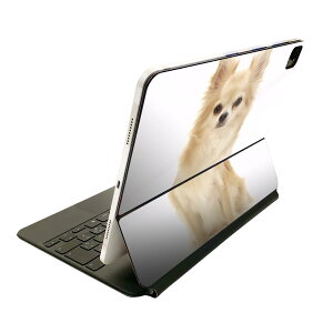 Magic Keyboard p XLV[ 11C` iPad Prop 1-4 iPad Air 4-5 Ή SʃXLV[ t O w یV[ lC 002914 @@ʐ^