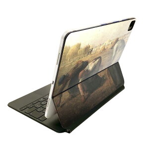 Magic Keyboard 12.9C` iPad Proi4A5A6jΉ apple Abv ACpbh SʃXLV[ t O w یV[ lC O@G@CXg 003249