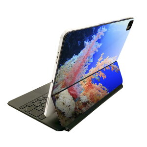 Magic Keyboard 12.9C` iPad Proi4A5A6jΉ apple Abv ACpbh@SʃXLV[ t Oʁ@w یV[ lC 003341 C@ʐ^@iF@i