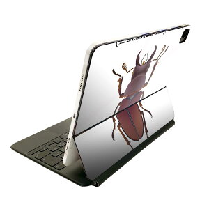 Magic Keyboard 12.9�C���` iPad Pro�i��4����A��5����A��6����j�Ή� apple �A�b�v�� �A�C�p�b�h�@�S�ʃX�L���V�[�� �t�� �O�ʁ@�w�� �ی�V�[�� �l�C 020005 �� stag beetle �N���K�^���V
