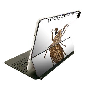 Magic Keyboard �p �X�L���V�[�� 11�C���` iPad Pro�p ��1-4���� iPad Air ��4-5���� �Ή� �S�ʃX�L���V�[�� �t�� �O�� �w�� �ی�V�[�� �l�C 020014 �� �� polyphylla fullo �q�Q�R�K�l