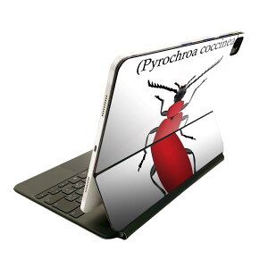 Magic Keyboard p XLV[ 11C` iPad Prop 1-4 iPad Air 4-5 Ή SʃXLV[ t O w یV[ lC 020016   J[fBiEJugV