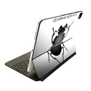 Magic Keyboard p XLV[ 11C` iPad Prop 1-4 iPad Air 4-5 Ή SʃXLV[ t O w یV[ lC 020017   lethrus apterus IILoZ`