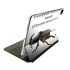 Magic Keyboard p XLV[ 11C` iPad Prop 1-4 iPad Air 4-5 Ή SʃXLV[ t O w یV[ lC 020020   TCJug