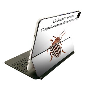 Magic Keyboard p XLV[ 11C` iPad Prop 1-4 iPad Air 4-5 Ή SʃXLV[ t O w یV[ lC 020022   colorado beetle RhnV