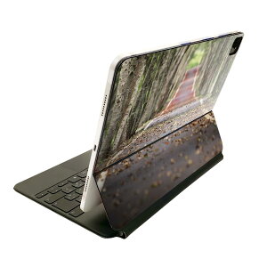 Magic Keyboard p XLV[ 11C` iPad Prop 1-4 iPad Air 4-5 Ή SʃXLV[ t O w یV[ lC 022910 i@؁@t