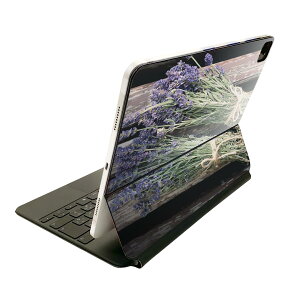 Magic Keyboard p XLV[ 11C` iPad Prop 1-4 iPad Air 4-5 Ή SʃXLV[ t O w یV[ lC 022964 hCt[@ʐ^@