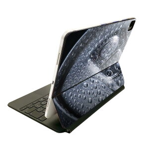 Magic Keyboard p XLV[ 11C` iPad Prop 1-4 iPad Air 4-5 Ή SʃXLV[ t O w یV[ lC 022972 ʐ^@