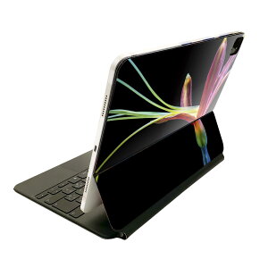 Magic Keyboard �p �X�L���V�[�� 11�C���` iPad Pro�p ��1-4���� iPad Air ��4-5���� �Ή� �S�ʃX�L���V�[�� �t�� �O�� �w�� �ی�V�[�� �l�C 022986 �ԁ@�J���t���@�ʐ^