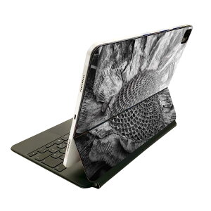 Magic Keyboard p XLV[ 11C` iPad Prop 1-4 iPad Air 4-5 Ή SʃXLV[ t O w یV[ lC 022990 Ђ܂@ԁ@mN