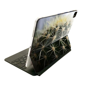 Magic Keyboard 12.9C` iPad Proi4A5A6jΉ apple Abv ACpbh SʃXLV[ t O w یV[ lC T{e@ʐ^ 023055