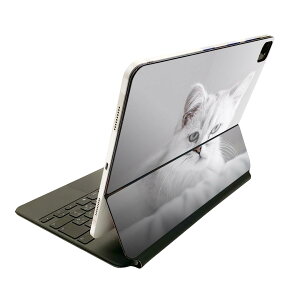Magic Keyboard 12.9C` iPad Proi4A5A6jΉ apple Abv ACpbh@SʃXLV[ t Oʁ@w یV[ lC 023093 L@˂@@ʐ^