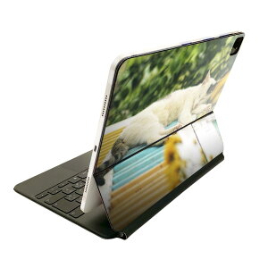 Magic Keyboard 用 スキンシール 11インチ iPad Pro用 第1-4世代 iPad Air 第4-5世代 対応 全面スキンシール フル 前面 背面 保護シール 人気 023095 猫 ねこ 動物 写真
