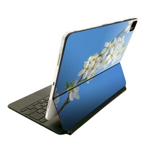 Magic Keyboard 12.9�C���` iPad Pro�i��4����A��5����A��6����j�Ή� apple �A�b�v�� �A�C�p�b�h�@�S�ʃX�L���V�[�� �t�� �O�ʁ@�w�� �ی�V�[�� �l�C 023105 �ԁ@�ʐ^