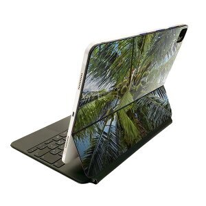 Magic Keyboard p XLV[ 11C` iPad Prop 1-4 iPad Air 4-5 Ή SʃXLV[ t O w یV[ lC 023141 V̖؁@ā@R