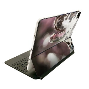 Magic Keyboard p XLV[ 11C` iPad Prop 1-4 iPad Air 4-5 Ή SʃXLV[ t O w یV[ lC 023189 @@ʐ^
