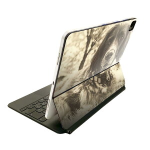 Magic Keyboard p XLV[ 11C` iPad Prop 1-4 iPad Air 4-5 Ή SʃXLV[ t O w یV[ lC 023215 @ZsA@