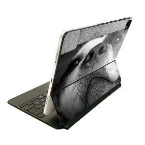 Magic Keyboard �p �X�L���V�[�� 11�C���` iPad Pro�p ��1-4���� iPad Air ��4-5���� �Ή� �S�ʃX�L���V�[�� �t�� �O�� �w�� �ی�V�[�� �l�C 023216 ���@�ʐ^�@���m�N��