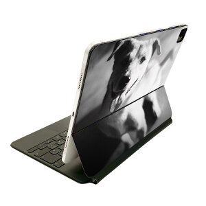 Magic Keyboard p XLV[ 11C` iPad Prop 1-4 iPad Air 4-5 Ή SʃXLV[ t O w یV[ lC 023224 @mN@ʐ^
