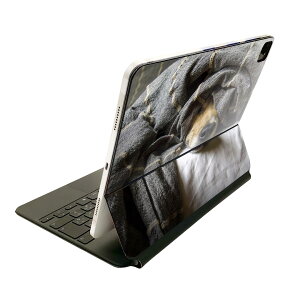 Magic Keyboard p XLV[ 11C` iPad Prop 1-4 iPad Air 4-5 Ή SʃXLV[ t O w یV[ lC 023225 @ʐ^@