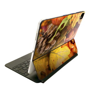Magic Keyboard p XLV[ 11C` iPad Prop 1-4 iPad Air 4-5 Ή SʃXLV[ t O w یV[ lC 023260 tρ@A@H