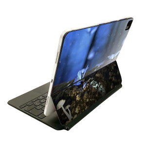 Magic Keyboard 12.9�C���` iPad Pro�i��4����A��5����A��6����j�Ή� apple �A�b�v�� �A�C�p�b�h�@�S�ʃX�L���V�[�� �t�� �O�ʁ@�w�� �ی�V�[�� �l�C 023261 ���̂��@���X