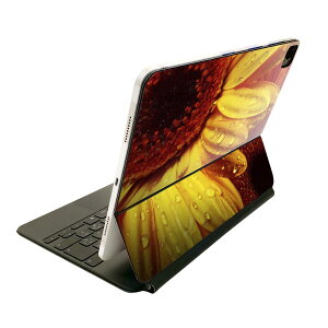 Magic Keyboard 12.9C` iPad Proi4A5A6jΉ apple Abv ACpbh@SʃXLV[ t Oʁ@w یV[ lC 023300 ԁ@t[@Ђ܂