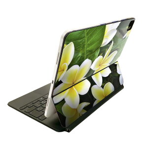 Magic Keyboard 12.9C` iPad Proi4A5A6jΉ apple Abv ACpbh SʃXLV[ t O w یV[ lC ԁ@t[@vA 023320