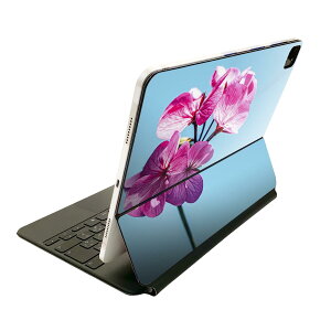 Magic Keyboard �p �X�L���V�[�� 11�C���` iPad Pro�p ��1-4���� iPad Air ��4-5���� �Ή� �S�ʃX�L���V�[�� �t�� �O�� �w�� �ی�V�[�� �l�C 023325 �ԁ@�t�����[
