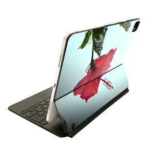 Magic Keyboard 12.9�C���` iPad Pro�i��4����A��5����A��6����j�Ή� apple �A�b�v�� �A�C�p�b�h�@�S�ʃX�L���V�[�� �t�� �O�ʁ@�w�� �ی�V�[�� �l�C 023437 �ԁ@�t�����[�@�n�C�r�X�J�X