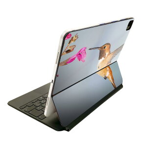 Magic Keyboard 12.9C` iPad Proi4A5A6jΉ apple Abv ACpbh@SʃXLV[ t Oʁ@w یV[ lC 023447 @ԁ@ʐ^