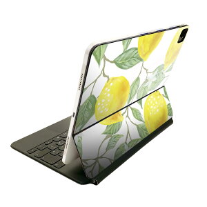 Magic Keyboard 12.9C` iPad Proi4A5A6jΉ apple Abv ACpbh SʃXLV[ t O w یV[ lC @CXg@͗l 023500