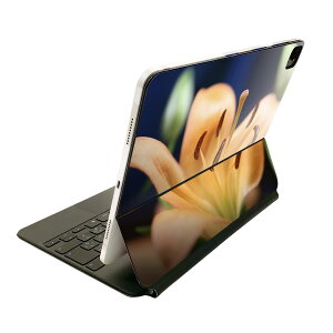 Magic Keyboard �p �X�L���V�[�� 11�C���` iPad Pro�p ��1-4���� iPad Air ��4-5���� �Ή� �S�ʃX�L���V�[�� �t�� �O�� �w�� �ی�V�[�� �l�C 023523 �ԁ@�t�����[�@�ʐ^