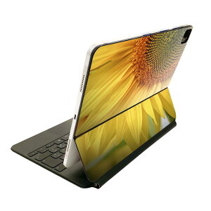 Magic Keyboard p XLV[ 11C` iPad Prop 1-4 iPad Air 4-5 Ή SʃXLV[ t O w یV[ lC 023602 ԁ@t[@Ђ܂