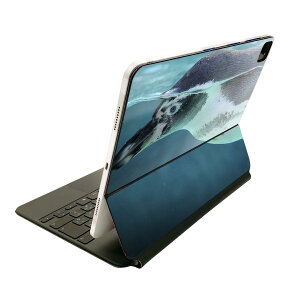 Magic Keyboard �p �X�L���V�[�� 11�C���` iPad Pro�p ��1-4���� iPad Air ��4-5���� �Ή� �S�ʃX�L���V�[�� �t�� �O�� �w�� �ی�V�[�� �l�C 023661 �y���M���@����